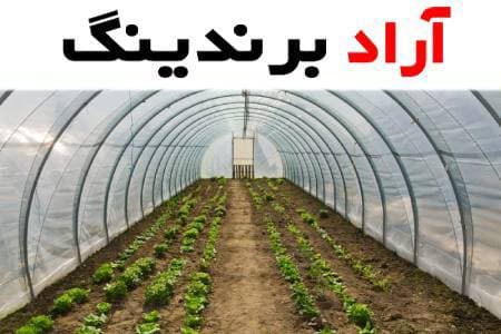قیمت نایلون ضخیم گلخانه ای از تولید به مصرف