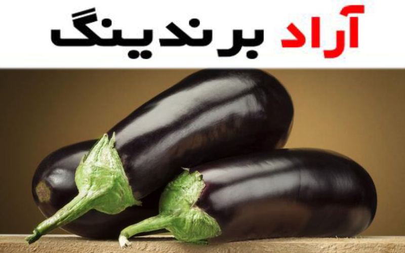 بادمجان محلی رشت و خواص آن در جلوگیری از پیری زودرس و بروز بیماری‌های سرطانی