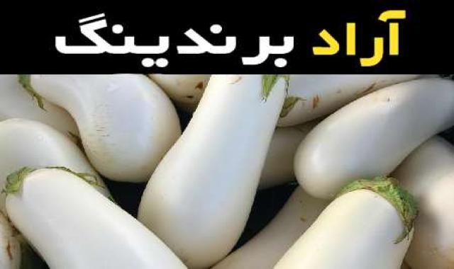بادمجان سفید تراریخته و نقش آن در ایجاد پل ارتباطی بین کشاورزان و مصرف کنندگان