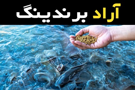 خرید جدیدترین انواع غذای ماهی از معتبرترین برندهای دنیا