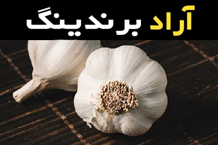 معرفی انواع سیر شور + قیمت خرید روز