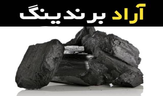 ذغال لیمو اصل انتخابی هوشمندانه برای پخت کباب های شگفت انگیز