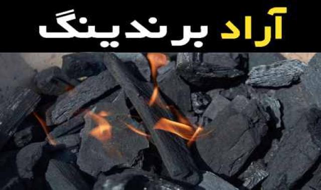 ذغال کبابی خودسوز یک تجربه جدید در پخت و پز