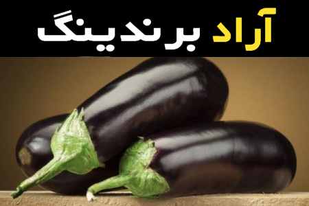بادمجان محلی شمال تجربه به یادماندنی طعم غذاهای شمالی