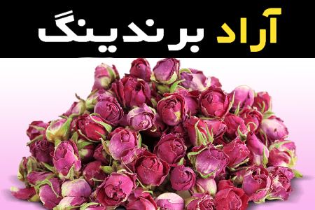 خواص دارویی غنچه گل محمدی درجه یک و کاربردهای خاص آن که باید بدانید