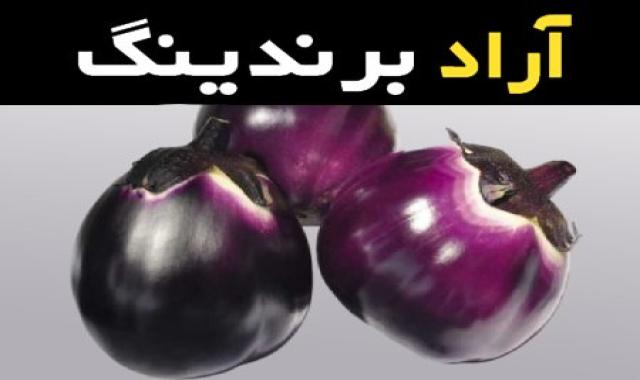 بادمجان دلمه ای سیاه طعمی شیرین و کاشت ایده آل در گلدان و بالکن‌های آفتابگیر