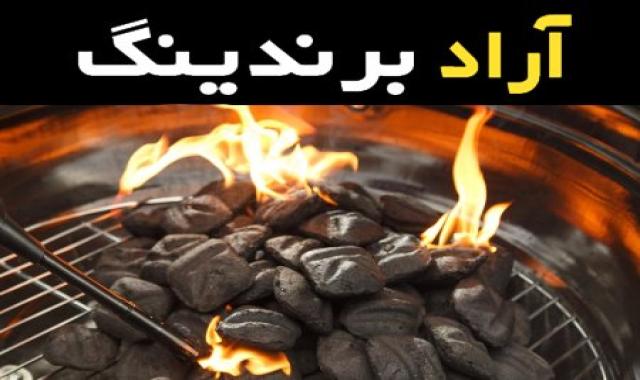 بهترین ذغال کبابی قالب کدام است؟