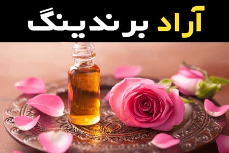 خواص بی نظیر غنچه گل محمدی کاشان که قطعا نمی دانید