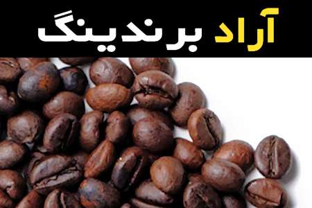 دانه قهوه روبوستا در چه مناطقی کشت می شوند؟