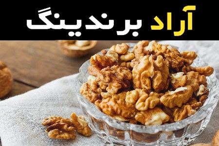 مغز گردو امساله آشنایی صفر تا صد قیمت خرید عمده