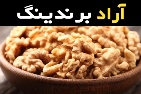 آموزش خرید مغز گردو فله صفر تا صد