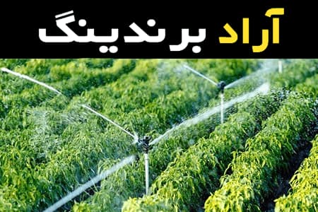 خرید عمده لوله آبیاری مه پاش با بهترین شرایط