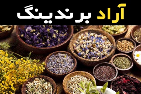خرید عمده گیاهان دارویی صحرایی با بهترین شرایط