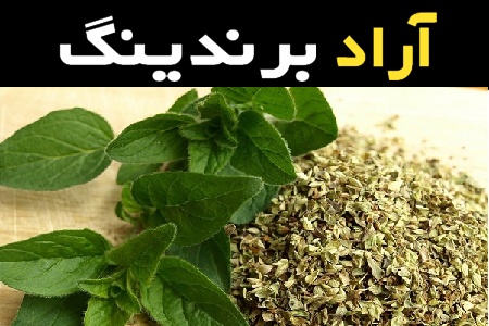 قیمت خرید عمده گیاهان دارویی گلخانه ای ارزان و مناسب