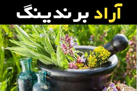 گیاهان دارویی تب بر همراه با توضیحات کامل و آشنایی