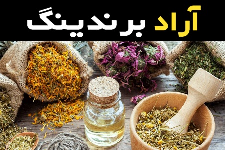 راهنمای خرید گیاهان دارویی تیغ دار با شرایط ویژه و قیمت استثنایی