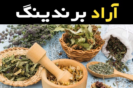 خرید عمده گیاهان دارویی وحشی با بهترین شرایط