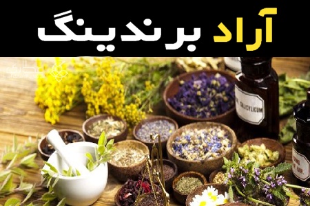 قیمت خرید عمده گیاهان دارویی همیشه بهار ارزان و مناسب