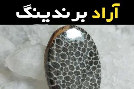 سنگ عقیق پوست ماری همراه با توضیحات کامل و آشنایی