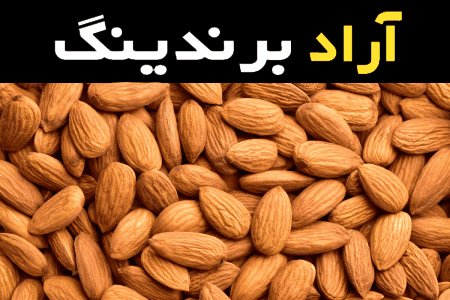 قیمت خرید عمده مغز بادام برزیلی ارزان و مناسب