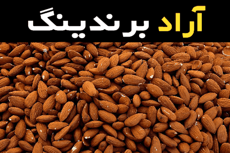 راهنمای خرید مغز بادام کوهی شور با شرایط ویژه و قیمت استثنایی