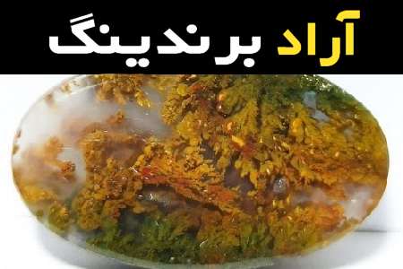 آموزش خرید سنگ عقیق شجری صفر تا صد