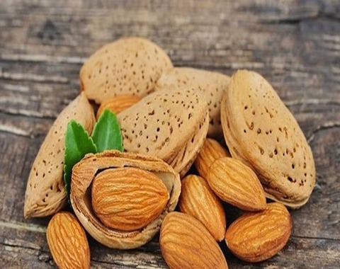 لیست قیمت بادام سنگی اصفهان به صورت عمده و با صرفه