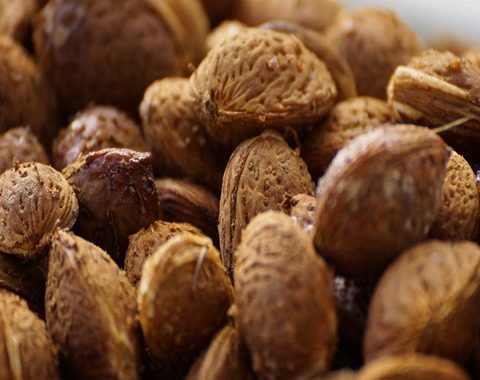 آموزش خرید بادام مامایی ایران صفر تا صد