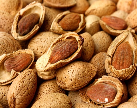 آموزش خرید بادام مامایی درجه یک صفر تا صد