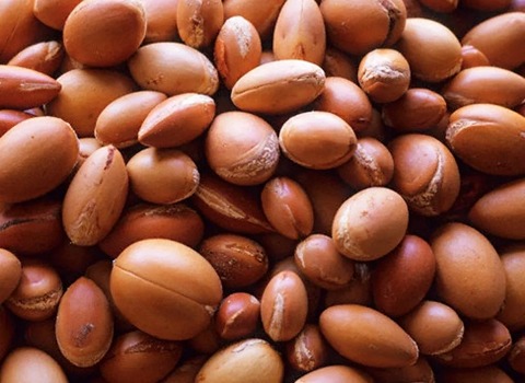 مشخصات روغن آرگان خارجی و نحوه خرید عمده