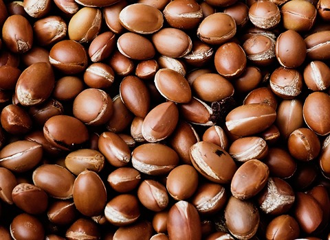 روغن ارگان غلیظ آشنایی صفر تا صد قیمت خرید عمده