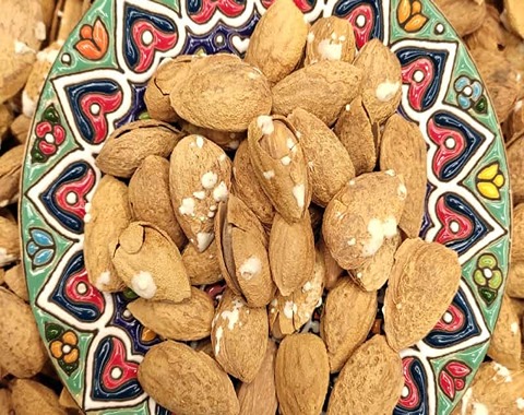 خرید عمده بادام پوست کاغذی سامان با بهترین شرایط