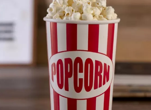 لیوان کاغذی پفیلا آشنایی صفر تا صد قیمت خرید عمده