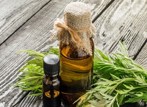 لیست قیمت روغن خراطین طبیعی به صورت عمده و با صرفه