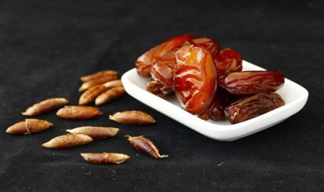 مشخصات هسته خرما مضافتی و نحوه خرید عمده