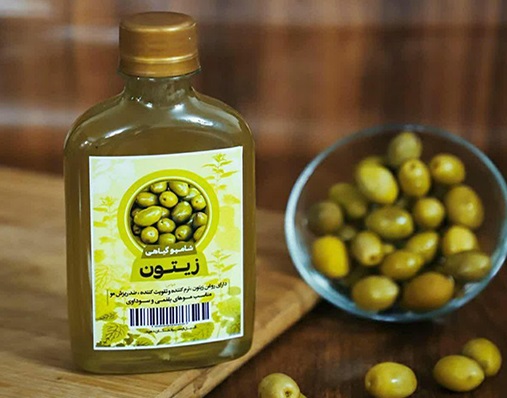 مشخصات شامپو گیاهی زیتون و نحوه خرید عمده