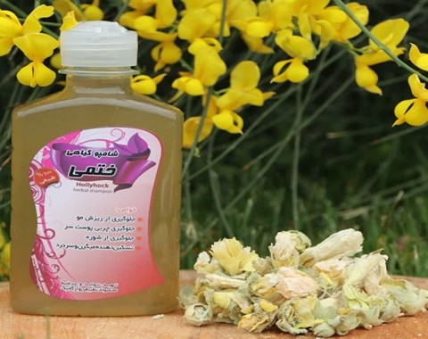 شامپو گیاهی گل ختمی همراه با توضیحات کامل و آشنایی