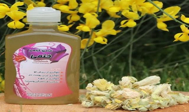 شامپو گیاهی گل ختمی همراه با توضیحات کامل و آشنایی
