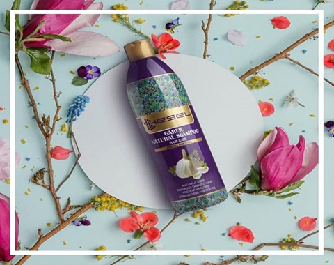 قیمت خرید عمده شامپو گیاهی هسل ارزان و مناسب