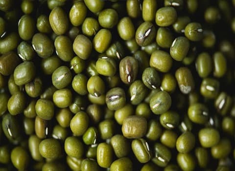 ماش ایرانی همراه با توضیحات کامل و آشنایی