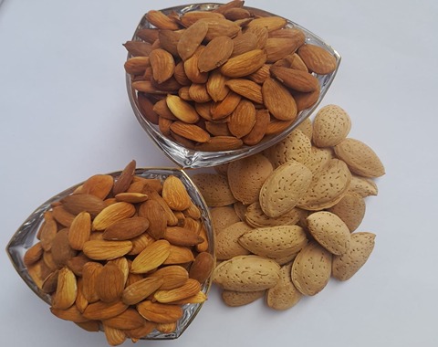 راهنمای خرید مغز بادام امریکایی با شرایط ویژه و قیمت استثنایی