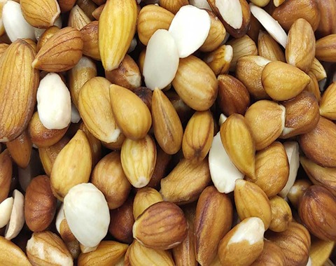 مغز بادام وحشی همراه با توضیحات کامل و آشنایی