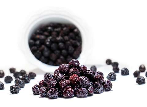 قیمت خرید عمده آلبالو خشک تواضع ارزان و مناسب