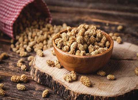 خرید عمده توت خشک تهران با بهترین شرایط