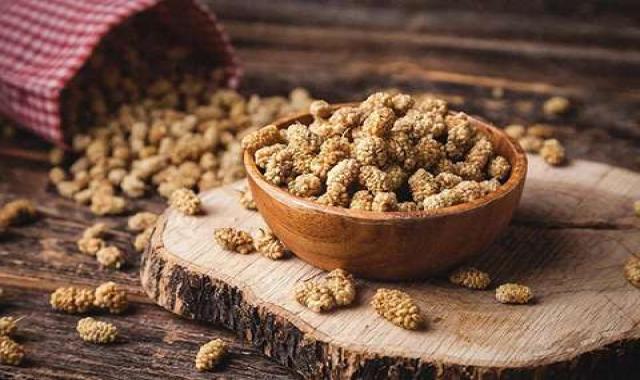 خرید عمده توت خشک تهران با بهترین شرایط