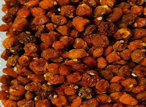 آموزش خرید فیسالیس خشک صفر تا صد