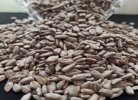 مغز تخمه خوراکی همراه با توضیحات کامل و آشنایی