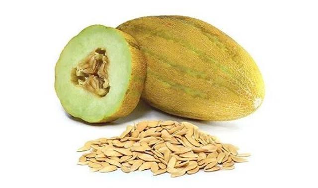 مغز تخمه خربزه همراه با توضیحات کامل و آشنایی