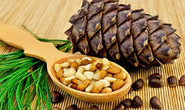 راهنمای خرید مغز تخمه چلغوز با شرایط ویژه و قیمت استثنایی