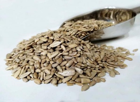 راهنمای خرید مغز تخمه چینی با شرایط ویژه و قیمت استثنایی